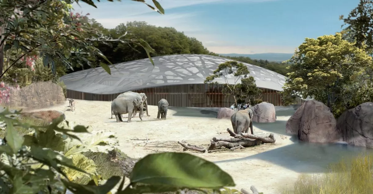 Elefantenpark Zoo Zürich - Mageba